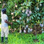 Supporting Sustainable Agriculture